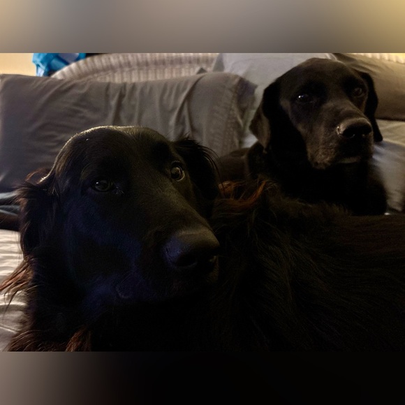 @ketaj21 @harrisonketahub live show, 01/05/26, 5PM EST - Picture 12 of 16